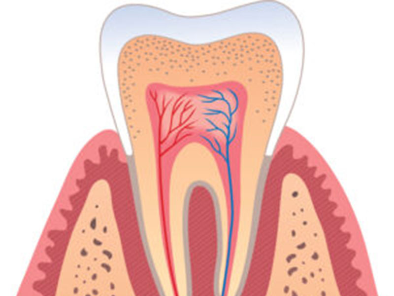 Broken to the Gums? We Can Help featured image