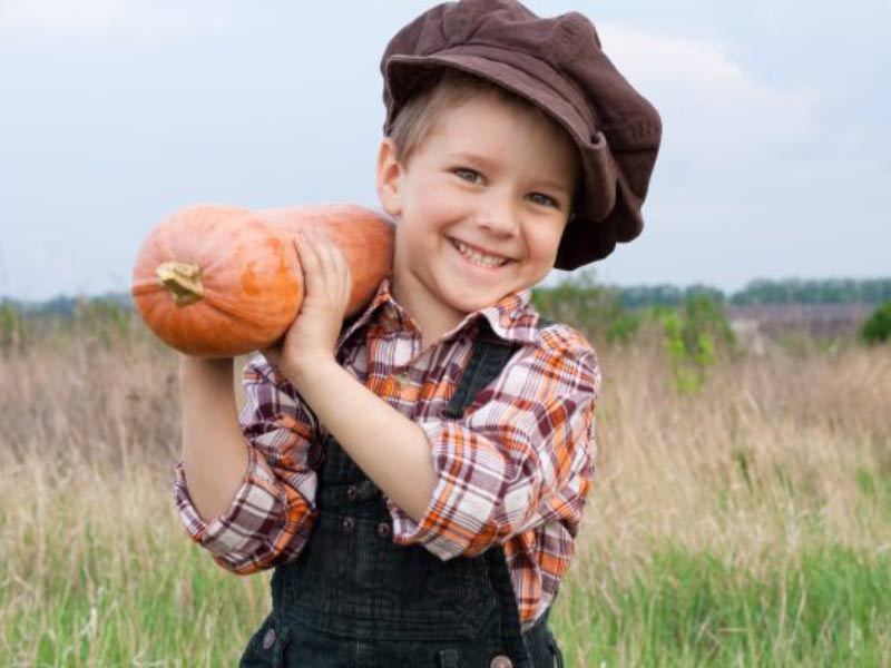 Smiling Kid has pumpkin in his hands