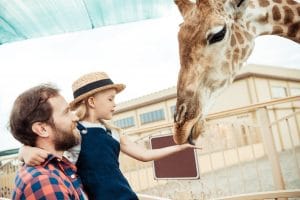 family with giraffe