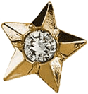 Twinkle® star jewel with crystal in center